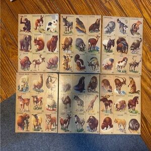 Rare Vintage Animal lotto Flashcards Set